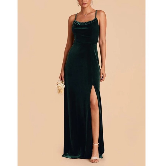 Birdy Grey Dresses & Skirts - Birdy Grey Ash Velvet Green Dress